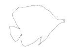 Butterflyfish Outline, Long Nosed Butterflyfish, (Chetodon kleini), (Orange Butterflyfish), line drawing, shape, AAAV03P14_02O