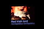 Red Irish Lord (Hemilepidotus hemilepidotus), Scorpaeniformes, Cottidae, bullhead