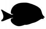 Surgeonfish silhouette, Acanthuridae, logo, shape, AAAV04P13_15M