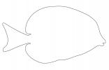Surgeonfish Outline, Surgeonfish, Acanthuridae, line drawing, shape