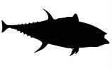Tuna Fish Silhouette, logo, shape