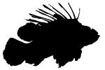 Lionfish silhouette, logo, Scorpaeniformes, Scorpaenidae, scorpionfish, venemous, shape, AAAV05P09_09M