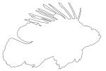 Lionfish Outline, Scorpaeniformes, Scorpaenidae, scorpionfish, venemous, line drawing, shape