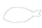 Acanthuridae, Tang, Surgeonfish Outline, line drawing, shape, AAAV06P02_18O