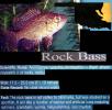 Rock Bass, (Ambloplites rupestris), [Centrarchidae], Perciformes, AABD01_112