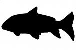 Rio Grande Fish silhouette, logo, shape, AABD01_207M