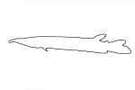 outline silver gar like fish beak, line drawing, shape, AABV02P03_08O