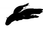 Siamese Fighting Fish, logo, AABV02P05_18M