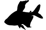 male, Black Phantom Tetra silhouette, Charican, Characin, Characiformes, Characidae, silhouette, shape, logo, AABV02P11_11M