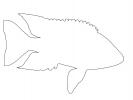 Cichlid [Cichlidae]outline, line drawing, shape, AABV03P10_07O