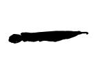 Wrestling Half Beak Silhouette, Dermogenys pusilla, [pusillus], Beloniformes, Hemiramphidae, logo, shape