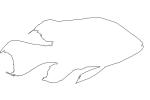 Cichlid outline, [Cichlidae] native to Madagascar, line drawing, shape, AABV05P01_04O