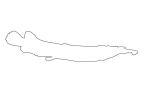 Wrestling Half Beak outline, line drawing, shape, AABV05P02_01O