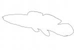 outline, line drawing, shape