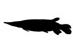 Pike Characin Silhouette, Freshwater Barracuda, (Ctenolucius hujeta), Characiformes, Erythrinoidea, Ctenoluciidae, logo, shape, AABV05P04_12M