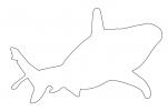 Shark Outline, AACD01_034O