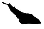 Giant Shovelnose Ray Silhouette, (Glaucostegus typus), Rajiformes, Rhinobatidae, endangered, logo, shape