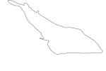 Giant Shovelnose Ray outline, (Glaucostegus typus), Rajiformes, Rhinobatidae, endangered, line drawing, shape