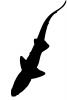 Shark silhouette, logo, shape, AACV01P14_15M