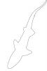 Shark outline, line drawing, shape, AACV01P14_15O
