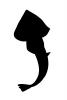 Atlantic Guitarfish silhouette, (Rhinobatos lentiginosus), Rajiformes, Rhinobatidae, logo, shape