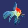 Fantail Goldfish, Paintography, AAGD01_070B