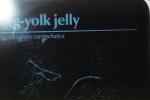 fried egg jellyfish, egg-yolk jellyfish, (Phacellophora camtschatica), Semaeostomeae, Ulmaridae, AAJV01P03_04
