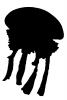 Spotted Jelly silhouette, (Mastigias papua), Rhizostomeae, Mastigiidae, AAJV01P13_13M