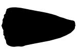 Marbled Cone Snail silhouette, (Conus marmoreus), Conoidea, Conidae, shell, predatory sea snail, venomous, poisonous, shape, logo, AALV01P07_02M