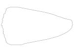 Marbled Cone Snail outline, line drawing, (Conus marmoreus), Conoidea, Conidae, shell, predatory sea snail, venomous, poisonous, shape, logo, AALV01P07_02O