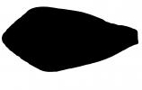 California Cone Snail silhouette, (Conus californicus), Conoidea, Conidae, Coninae, shell, predatory sea snail, venomous, poisonous, shape, logo, AALV01P08_12M