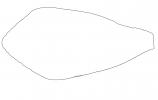 California Cone Snail line drawing, outline, (Conus californicus), Conoidea, Conidae, Coninae, shell, predatory sea snail, venomous, poisonous, shape, logo, AALV01P08_12O