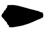 Brown Cone Snail silhouette, (Conus brunneus), Conoidea, Conidae, Coninae, shell, predatory sea snail, venomous, poisonous, shape, logo, AALV01P08_16M