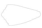 Brown Cone Snail line drawing, outline, (Conus brunneus), Conoidea, Conidae, Coninae, shell, predatory sea snail, venomous, poisonous, shape, logo