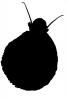 snail silhouette, logo, shape, AALV01P10_13M
