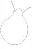 snail outline, line drawing, shape, AALV01P10_13O