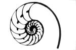 cutaway of a Nautilus Shell silhouette, shape, logo, AANV01P02_01.4096