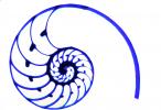 cutaway of a Nautilus Shell, AANV01P02_02B.1707
