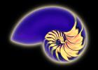 cutaway of a Nautilus Shell, AANV01P03_07