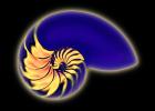cutaway of a Nautilus Shell, AANV01P03_07B