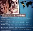 Pencil Urchin, (Eucidaris tribuloides), Perischoechinoidea, Cidaroida, Cidaridae, AAOD01_008