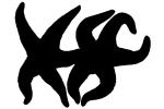 starfish silhouette, lovers, love, logo, shape