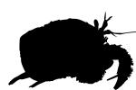 Hermit Crab Silhouette, logo, shape
