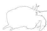 Hermit Crab outline, line drawing, shape, AARV02P06_08O