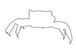 Red Claw Mini Crab outline, (Sesarma Bidens), Malacostraca, Decapoda, Sesarmidae, line drawing, shape, AARV02P10_05O