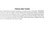 Frogs and Toads, AATV01P15_03