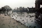 Lake, Flying Pigeons, Palace of Fine Arts