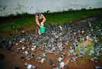 Feeding Pigeons, ABDV01P02_09.2565