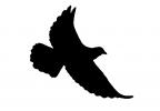 Dove in Flight Silhouette, shape, logo, ABDV01P03_19BM