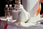 White Dove of Peace